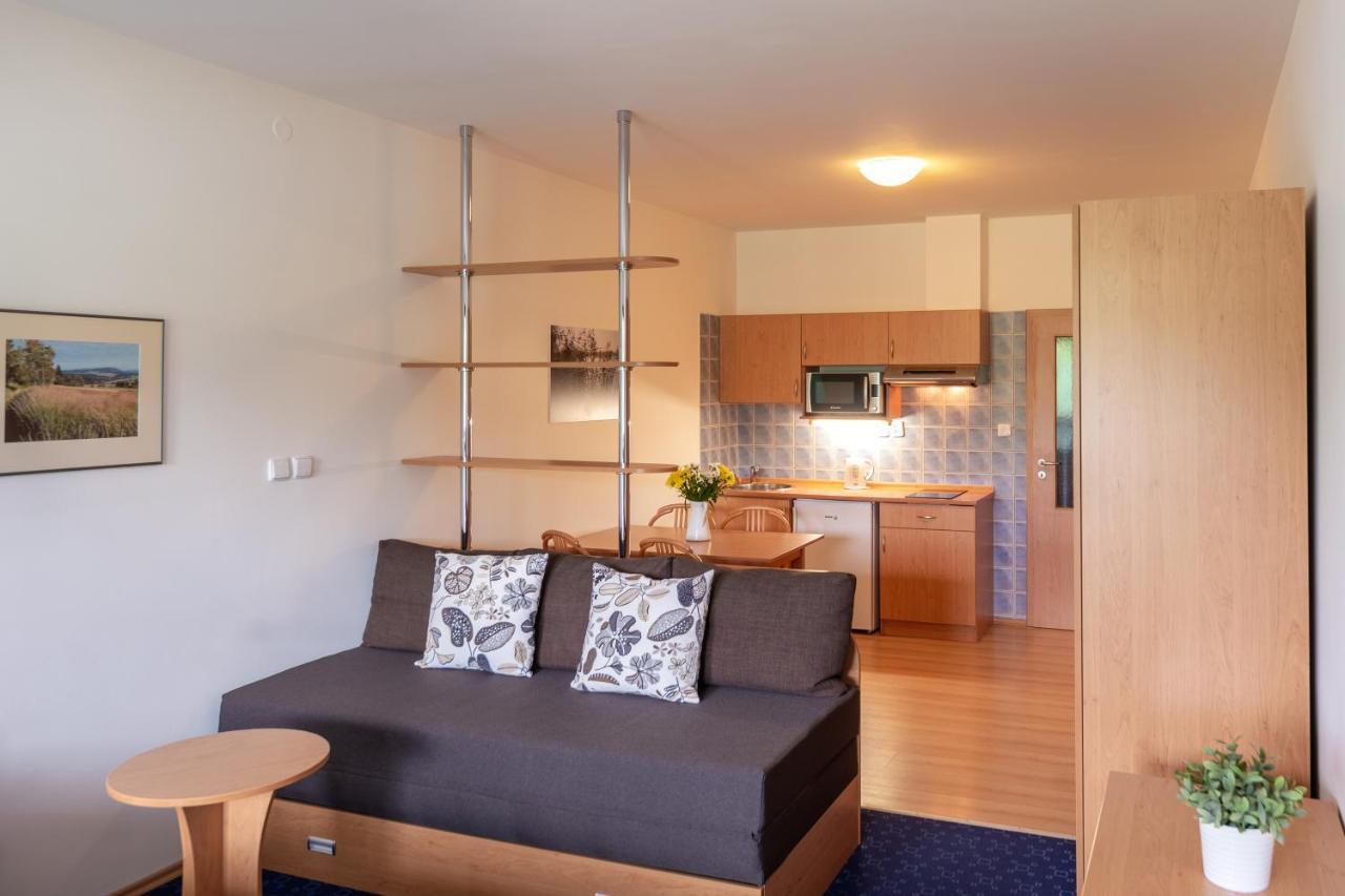 Apartmany Engadin Boží Dar Eksteriør billede
